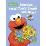 Can Elmo Taste Time?